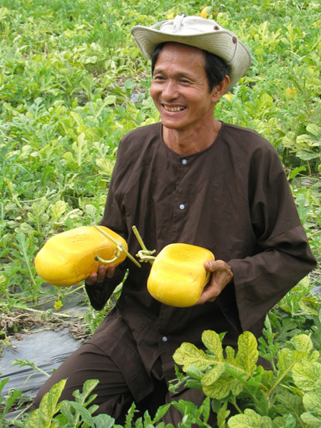 phong thủy và cây cảnh, cây cảnh và phong thủy, cây phong thủy, cây cảnh phong thủy, phong thuy va cay canh, cay canh va phong thuy, cay phong thuy, cay canh phong thuy